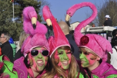 tn_dsc_0833